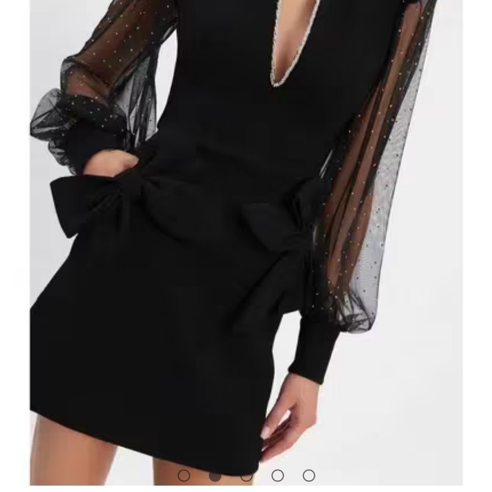 Elegant Black Dress with Sheer Sleeves - Picture 3 of 11